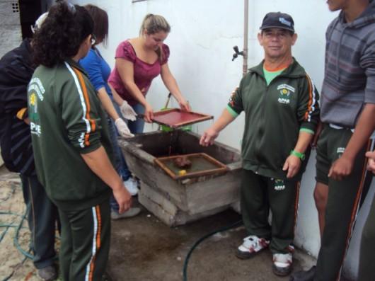 Apae de Maracajá desenvolve papel reciclado com fibra vegetal