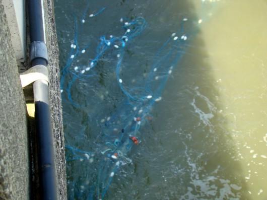 Pescadores trabalham na remoção de rede presa na plataforma