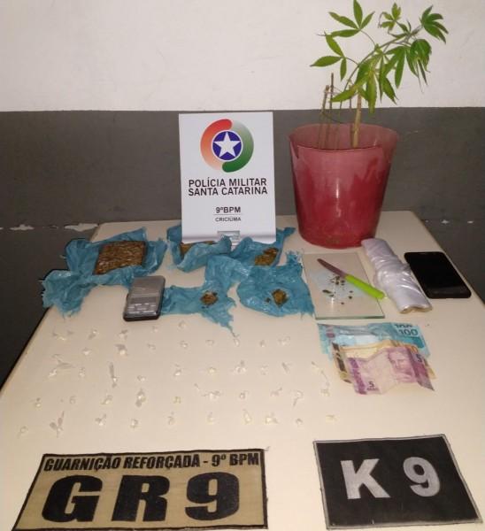 Polícia apreende pé de maconha e porções de crack em Criciúma 