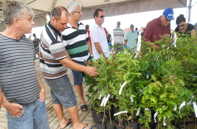 Mudas nativas e frutíferas são distribuídas durante a Arrancada de Caminhões
