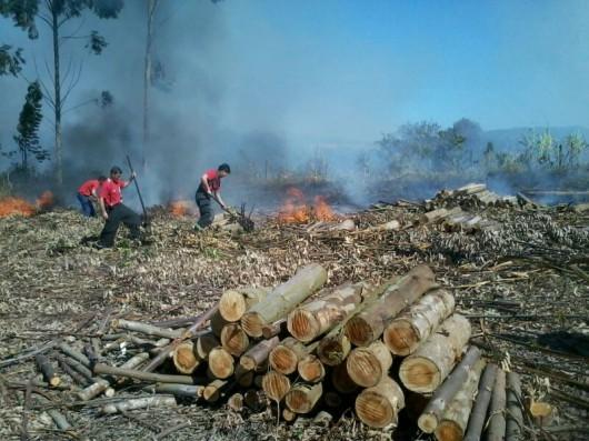 Atualização: Fogo ateado em resto de vegetação colocou em risco empresa fabricante de produtos plásticos e casas próximas