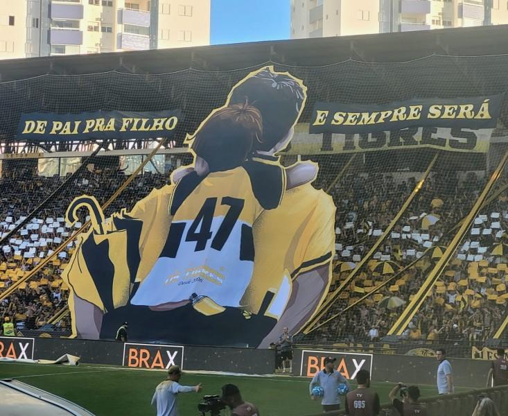 Por trás da festa: o mosaico da torcida carvoeira