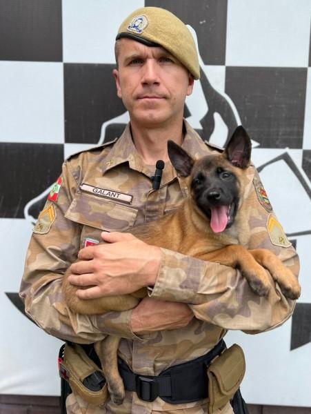 PM divulga nome do novo reforço da Guarnição do Canil K9