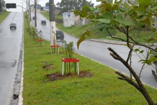 Motociclista morre após colisão na avenida Gabriel Zanette
