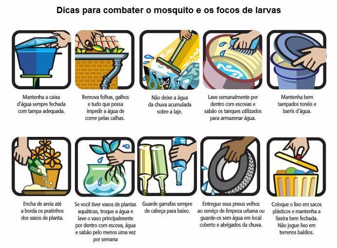 Mais um foco da Dengue é encontrado em Araranguá