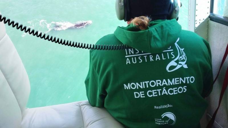 Baleias-francas antecipam a temporada 2018 de avistagens — foto 1