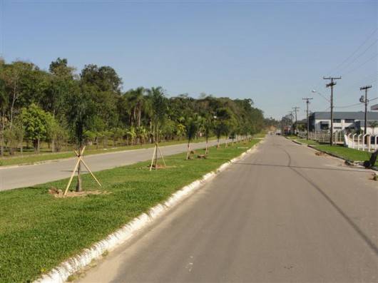 Mais verde em Cocal do Sul — foto 2